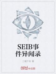 SEIB事件异闻录