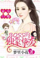 豪门夺婚：BOSS的独家挚爱