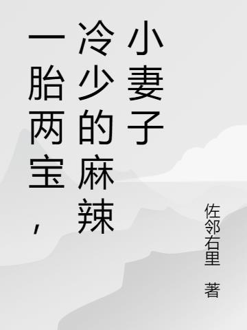 一胎两宝，冷少的麻辣小妻子