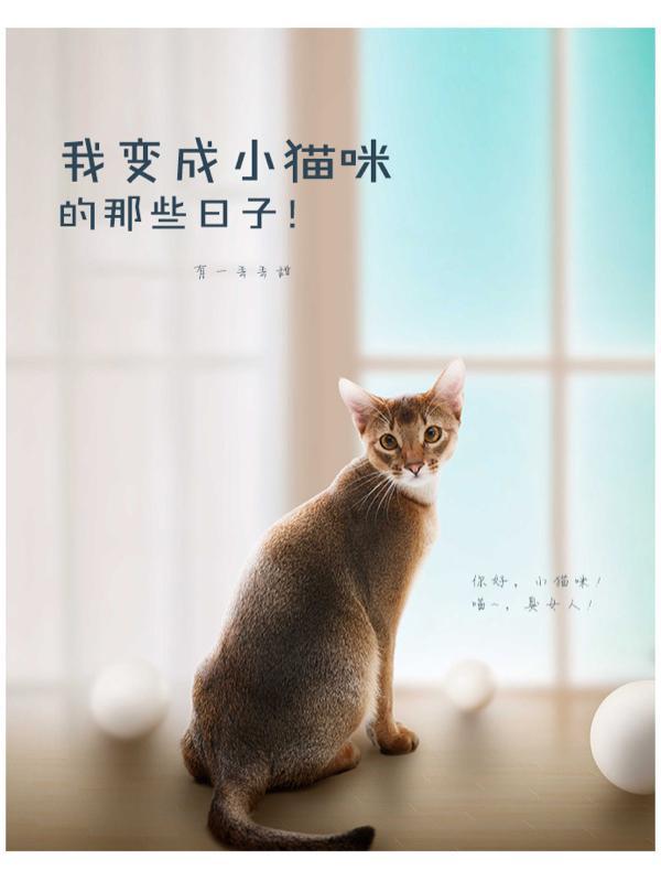 我变成小猫咪的那些日子