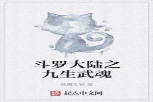 斗罗大陆之九生武魂