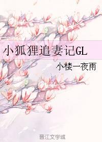 小狐狸追妻记GL